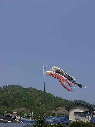 2004年4月広島県大野町。飛べ！こいのぼり