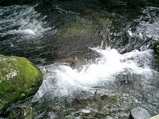 熊本県白水の水