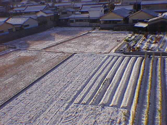 13年前大阪の雪/30万画素初代デジカメにて撮影