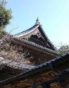 萩・松陰神社