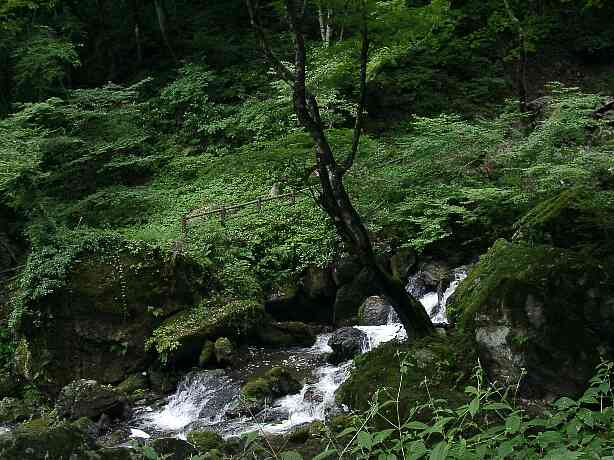 岡山県神庭の滝