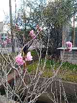 �C�̑�����