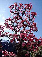 �C�̑�����