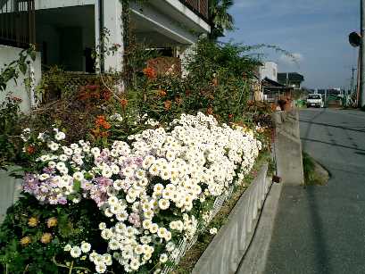 広島県の外れ道中、2006年11月は小春日和