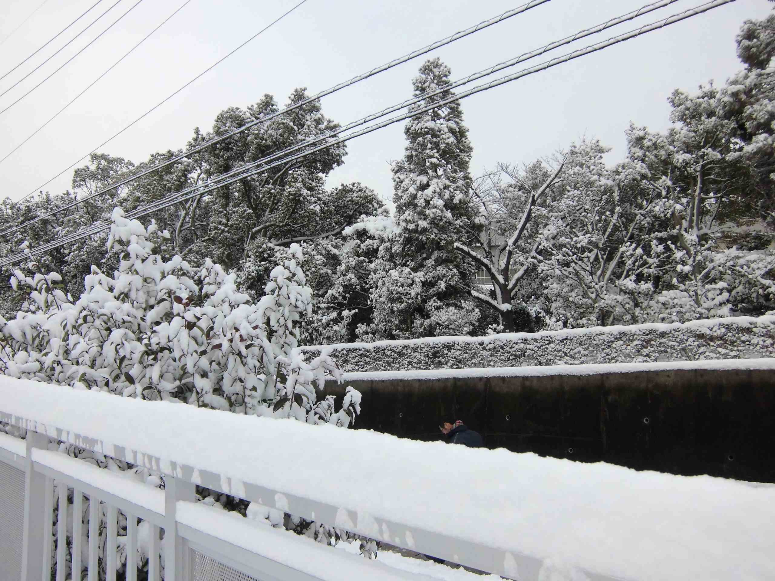 2014年12月18日ご近所大雪！